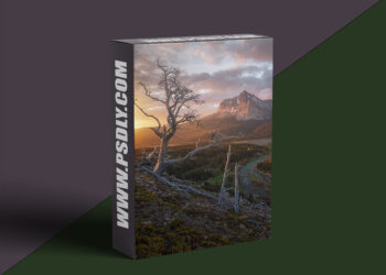 Ryan Dyar - More RAW Control