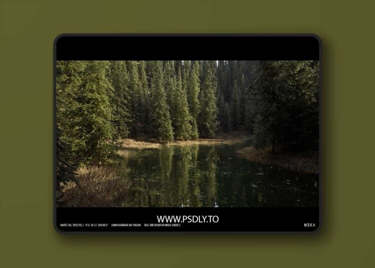 SHORT PINE TREES (5.3 – 5.8) for Unreal Engine 1 SHORT PINE TREES (5.3 – 5.8)