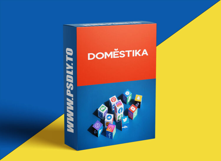 Domestika – Social Media Marketing Specialization: Strategy, Branding and Content 1 Social Media Marketing Specialization: Strategy, Branding and Content