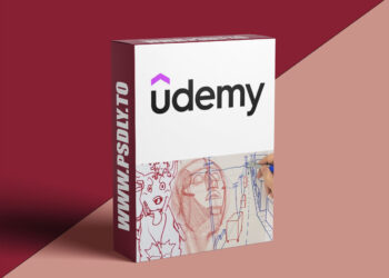 The Constructive Drawing Masterclass: 7 Courses in 1