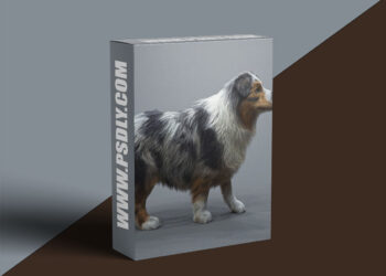 The Gnomon Workshop - Realistic Dog Grooming for Production with Xgen