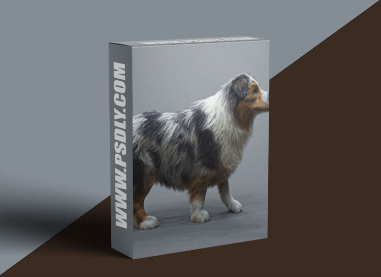 The Gnomon Workshop - Realistic Dog Grooming for Production with Xgen 1 The Gnomon Workshop - Realistic Dog Grooming for Production with Xgen