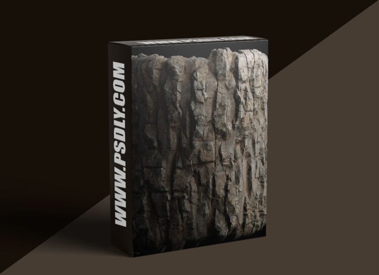 The Gnomon Workshop – Creating Realistic Cliff Materials using Substance Designer 1 The Gnomon Workshop – Creating Realistic Cliff Materials using Substance Designer