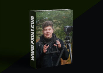 The School of Photography - Forest Photography