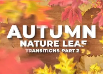 Videohive Autumn Leaf Thanksgiving Day Transitions 2 64985584