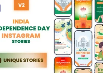Videohive Happy Independence Day Instagram Story Pack 64663617