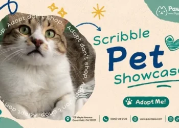Videohive Scribble Pet Showcase Promo 64569344