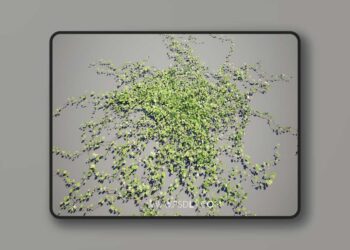 Vines 3D Models (5.2 – 5.8)