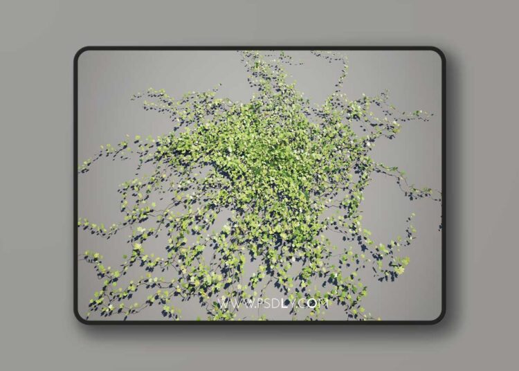 Vines 3D Models (5.2 – 5.8) for Unreal Engine 1 Vines 3D Models (5.2 – 5.8)