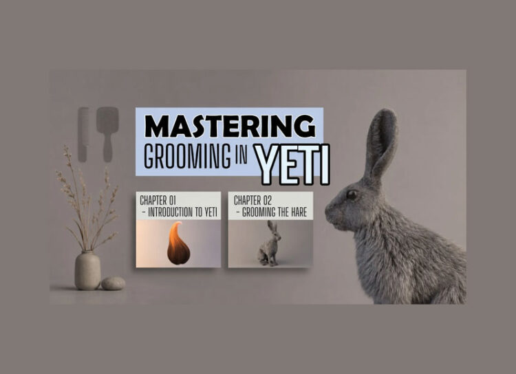 AVASCOT – Mastering Grooming in YETI 1 AVASCOT – Mastering Grooming in YETI