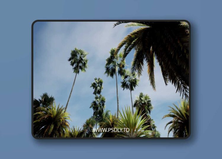 Big palms pack (4.27 and 5.0 – 5.8) for Unreal Engine 1 Big palms pack (4.27 and 5.0 – 5.8)