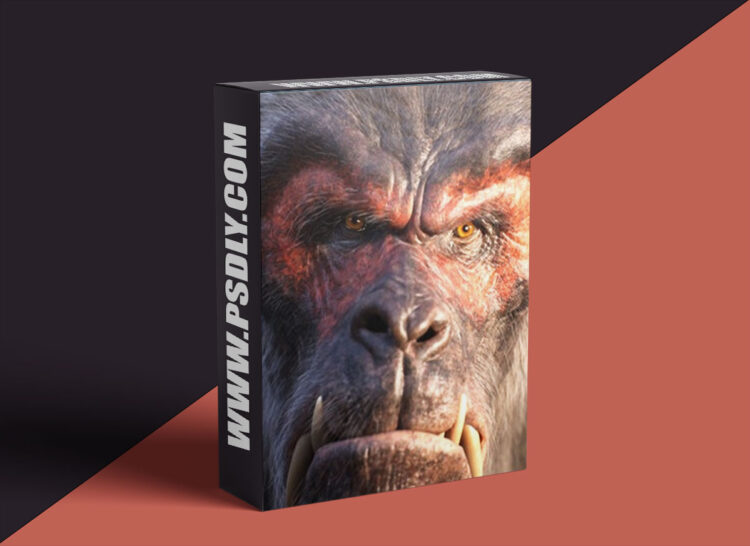 DoubleJump Academy – Professional CFX Workflows in Houdini 1 DoubleJump Academy – Professional CFX Workflows in Houdini