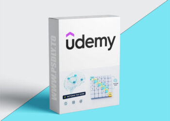 Dynamic Programming Made Easy: A Step-by-Step Beginner Guide