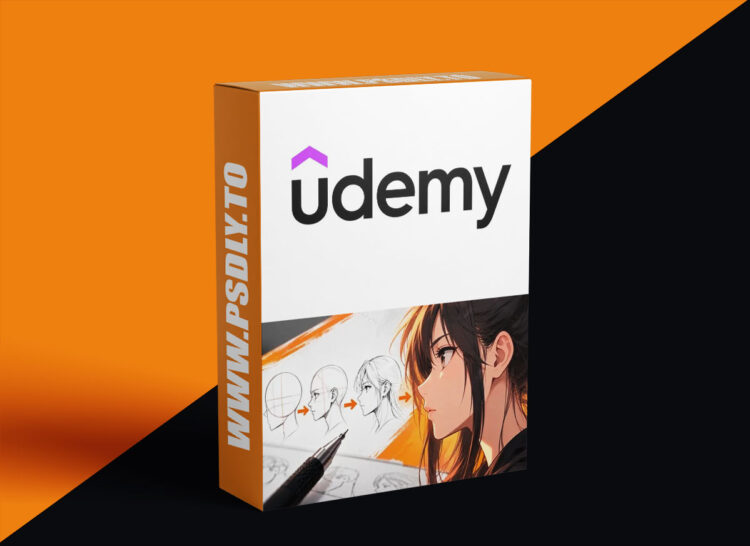 Udemy – How to Draw Anime Heads in Side View 1 How to Draw Anime Heads in Side View