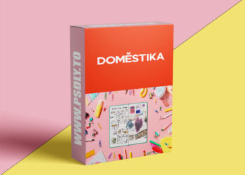 Illustrated Creative Journal Specialization