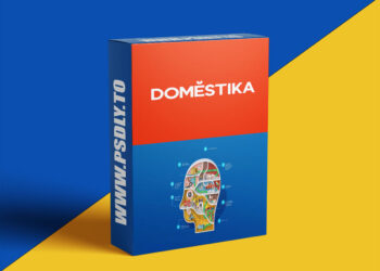 Information Design Specialization for Infographics and Visual Storytelling