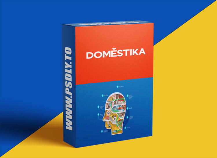 Domestika – Information Design Specialization for Infographics and Visual Storytelling 1 Information Design Specialization for Infographics and Visual Storytelling