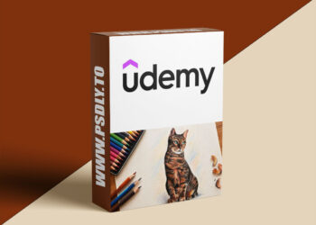 Realistic Cat Drawing with Colored Pencils | Step by Step
