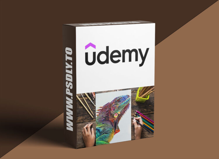 Udemy – Realistic Chameleon Drawing with Colored Pencils 1 Realistic Chameleon Drawing with Colored Pencils