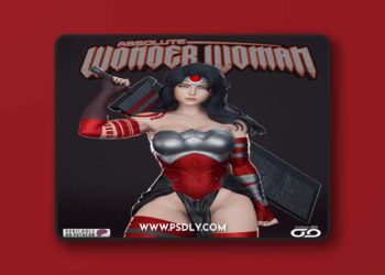 Shadaloo Studios – Absolute Wonder Woman – 3D Print Model STL