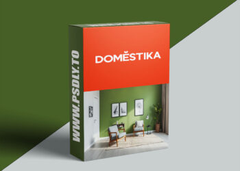 Specialization in Interior Design and Renovation