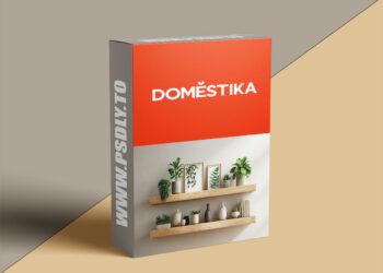 Specialization in Plant Decoration