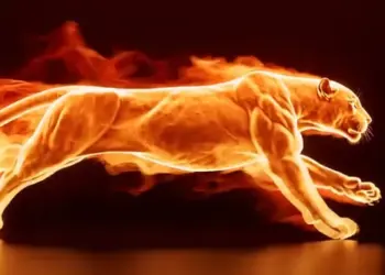 Videohive Flaming Panther Reveal 65148747