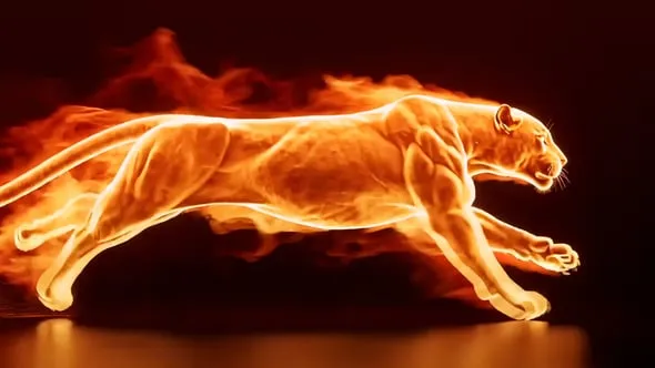 Videohive - Flaming Panther Reveal - 65148747 1 Videohive Flaming Panther Reveal 65148747