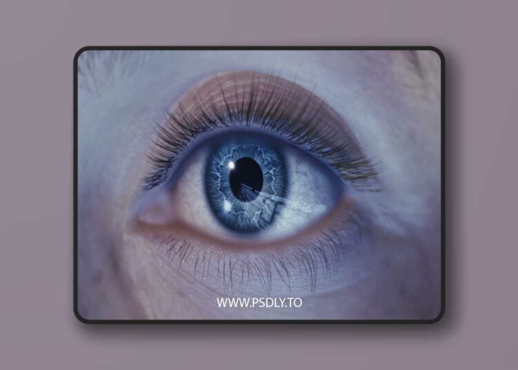 ZenBlink For Metahumans v2.2.0 (5.6) for Unreal Engine 1 ZenBlink For Metahumans v2.2.0 (5.6)