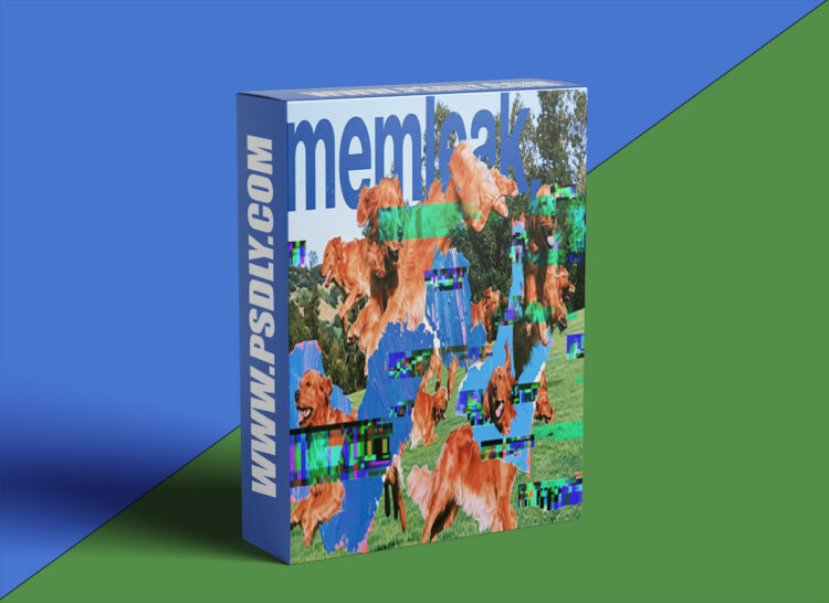 Aescripts - memleak v1.2.0 1 Aescripts memleak v1.2.0