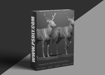 ArtStation Marketplace - Mesopotamian Fallow Deer Ecorche Anatomy Sculpture