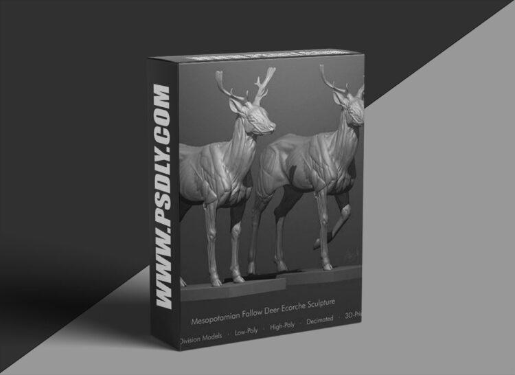 ArtStation Marketplace - Mesopotamian Fallow Deer Ecorche Anatomy Sculpture 1 ArtStation Marketplace - Mesopotamian Fallow Deer Ecorche Anatomy Sculpture