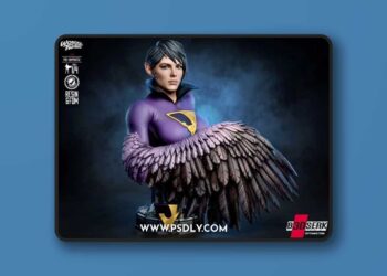 B3DSERK – Jayna Wonder Twins Bust – 3D Print Model STL