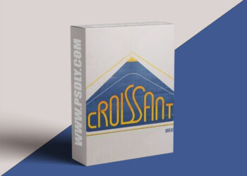 Coloso - Everything about After Effects Motion Graphics