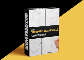 Drawing Fundamentals Course (Part 1: 7 lessons + Bonus)
