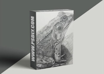 Etchr Studio - Textures and Depth with Graphite Pencil Drawing