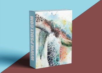 Etchr Studio - Watercolour Wildlife - Painting Bold and Bright Animals 3 Etchr Studio - Watercolour Wildlife - Painting Bold and Bright Animals