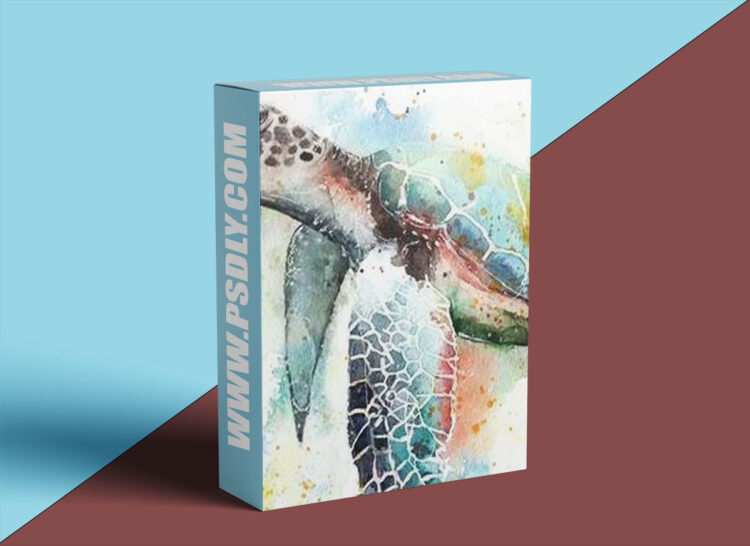 Etchr Studio - Watercolour Wildlife - Painting Bold and Bright Animals 1 Etchr Studio - Watercolour Wildlife - Painting Bold and Bright Animals