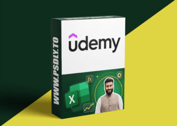 Excel Pro: From Basics to Brilliance