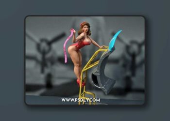 Exclusive – Pin up T 33 – 3D Print Model STL