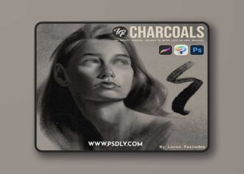 Lucas Peinador – LP Charcoal Brushes