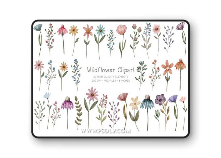 Painted Watercolor Flowers Clipart 92189810 1 Painted Watercolor Flowers Clipart 92189810
