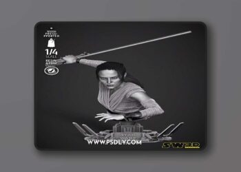 SW3D – Rey Bust – 3D Print Model STL