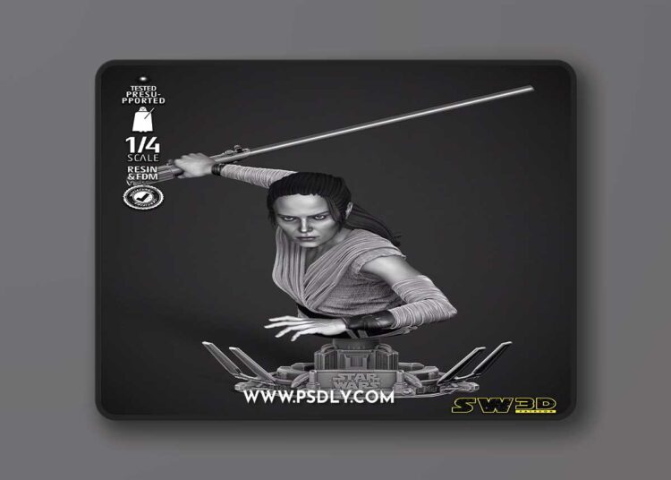 SW3D – Rey Bust – 3D Print Model STL 1 SW3D – Rey Bust – 3D Print Model STL