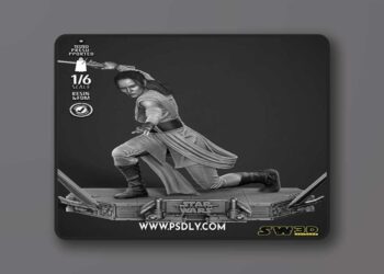SW3D – Rey Sculpture – 3D Print Model STL