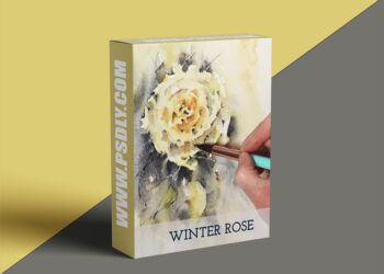 Shorelark Studio - Atmospheric Rose