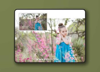 Squijoo Lightroom Presets Collection