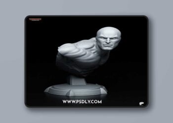 Tanuki Figures – Silver Surfer Bust – 3D Print Model STL