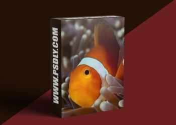 The Underwater Club - Underwater Lighting Course