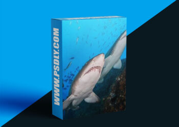 The Underwater Club - Underwater Wide-Angle Course